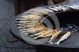 Smelt fish on grill, outdoor cooking