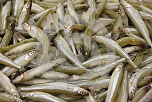 Smelt fresh fish