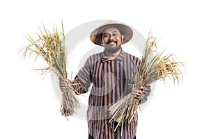 Smile asian farmer holding paddy rice grain