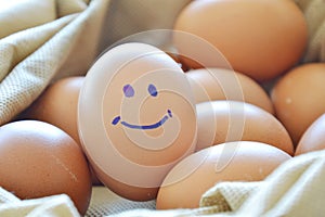 Smile brown hen egg in bag