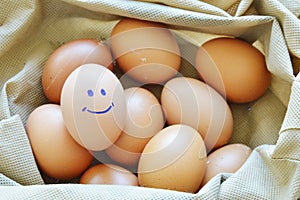 Smile brown hen egg in fabric bag