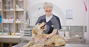Smile, dog and veterinarian with stethoscope in a clinic for a healthcare checkup or treatment. Portrait, doctor and old
