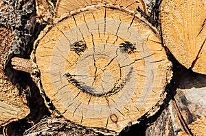 Smile drawn in charcoal on the sticks closeup