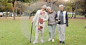 Smile, retirement and senior friends in the park, laughing together while standing on a field of grass. Portrait