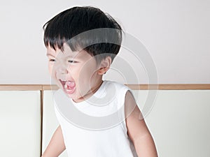 Smile toddler boy portrait