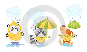 Smiley Animals Wearing Raincoat Walking in Rainy Day with Umbrella Vector Set