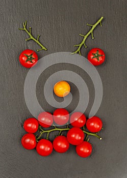 Smiley face with a angry expression. Laying out parts of a human face with vegetables, namely tomatoes and tomato branches