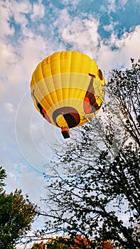 Smiley face balloon over trees