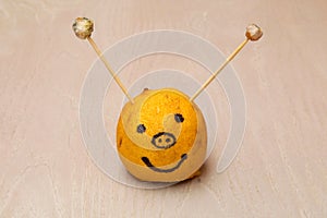 Smiley made from a lemon with antennas