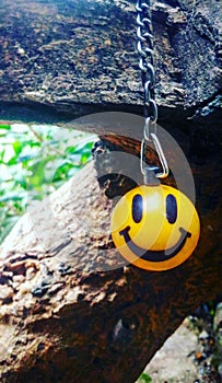 Smiley on the wood