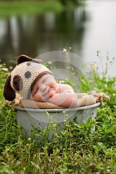 Smililng Baby Boy Wearing a Puppy Dog Hat