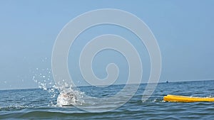 Smiling adorable child enjoying blue sea surfboarding bodyboard. Slow motion