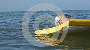 Smiling adorable child enjoying blue sea surfboarding bodyboard. Slow motion