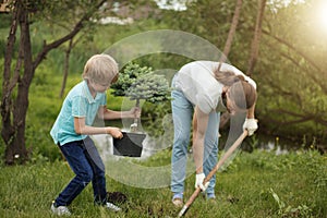 Smiling adult father and his son planting a tree outdoors in park.