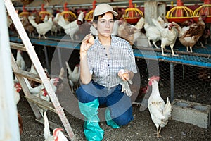 Smiling adult latin woman in plaid shirt and cap collecting eggs in chicken farm