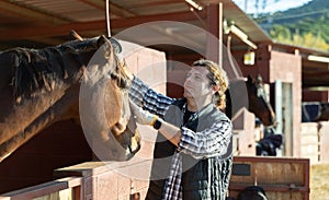 Smiling adult male cleaning head of brown horse with brush in horseriding club