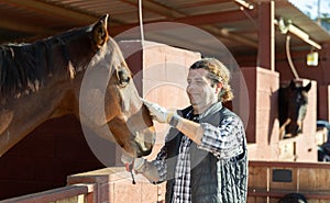 Smiling adult male cleaning head of brown horse with brush in horseriding club