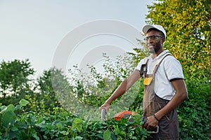 Smiling african man in overall cutting outgrown bushes