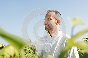 smiling apiarist looking away in field