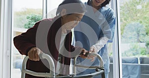 Smiling asian female doctor helping senior female patient to walk using walking frame