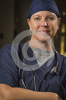 Smiling Attractive Female Doctor or Nurse Portrait