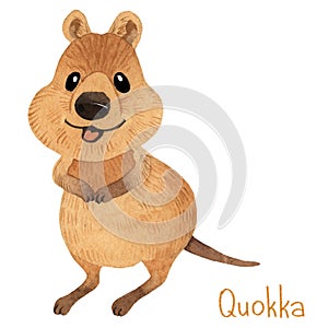 Smiling australian quokka. Cute kawaii hand drawn watercolor art