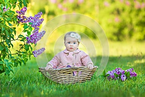 Smiling baby girl 1-2 year old wearing flower wreath, holding bouquet of lilac outdoors. Looking at camera. Summer spring time.