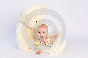 Smiling baby girl 6 months old lies on a white  background with a large soft Teddy bear, space for text