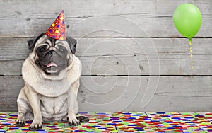 Smiling birthday party pug dog, with confetti and balloon, sitting down celebrating, on old wooden backgrond