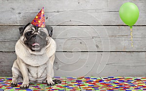 Smiling birthday party pug dog, with confetti and balloon, sitting down celebrating, on old wooden backgrond photo