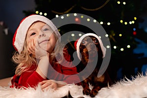 smiling blonde little girl in Christmas dress and Santa hat with toy Terrier dog