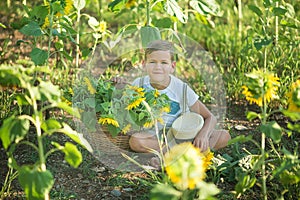 A smiling boy with a basket of sunflowers. Smiling boy with sunflower. A cute smiling boy in a field of sunflowers.