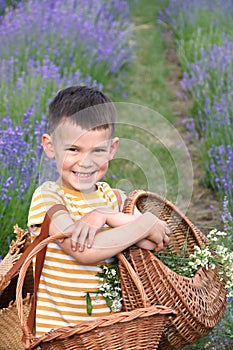 Smiling boy with the baskets in summer time
