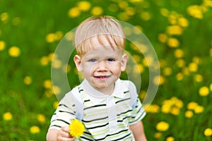 Smiling boy in dandelion meadow