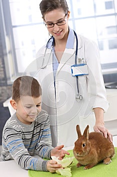 Smiling boy feeding rabbit at pets' clinic