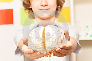 Smiling boy holding cerebrum model at his hands