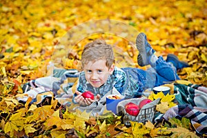 A smiling boy lies on a blanket with an Apple in his hands in the autumn Park. There are a lot of yellow maple leaves around.