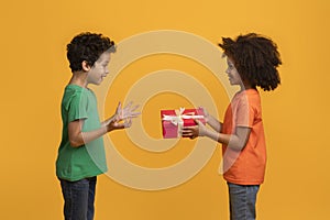 Smiling Boy Receives a Wrapped Gift From Friend