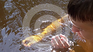 Smiling Boy Swimming in a Pond, Catching a Frog, Playing in Water in the Sun