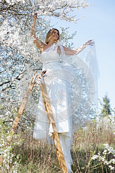 Smiling bride in nuptial dress stand on stepladder under white sakura, hold gauzy fabric of gown while looking away.