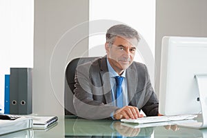 Smiling businessman using computer at office