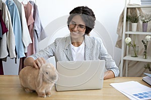 Smiling businesswoman work on laptop play with domesticated rabbit
