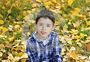 Smiling child in autumn leaves