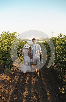 Smiling couple with glasses drinks wine in vineyard