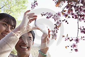 Smiling couple taking a photograph of a branch with cherry blossoms, outside in a park in the springtime