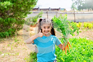 Smiling cute little girl holding bunch fresh carrot and showing thumbs up, standing in the garden on a sunny day