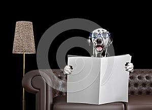 Smiling dalmatian dog with glasses reading newspaper with space for text on sofa in living room. Isolated on black
