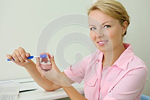 Smiling dentist shows how to correctly brush teeth