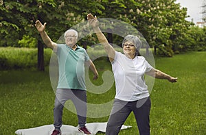 Smiling elderly retired active couple exercising doing morning workout in park