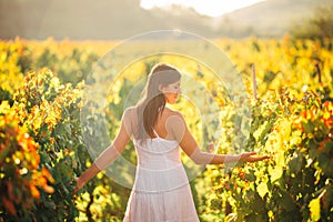 Smiling elegant woman in nature.Joy and happiness.Serene female in wine grape field in sunset.Wine growing field.Agricultural tour photo
